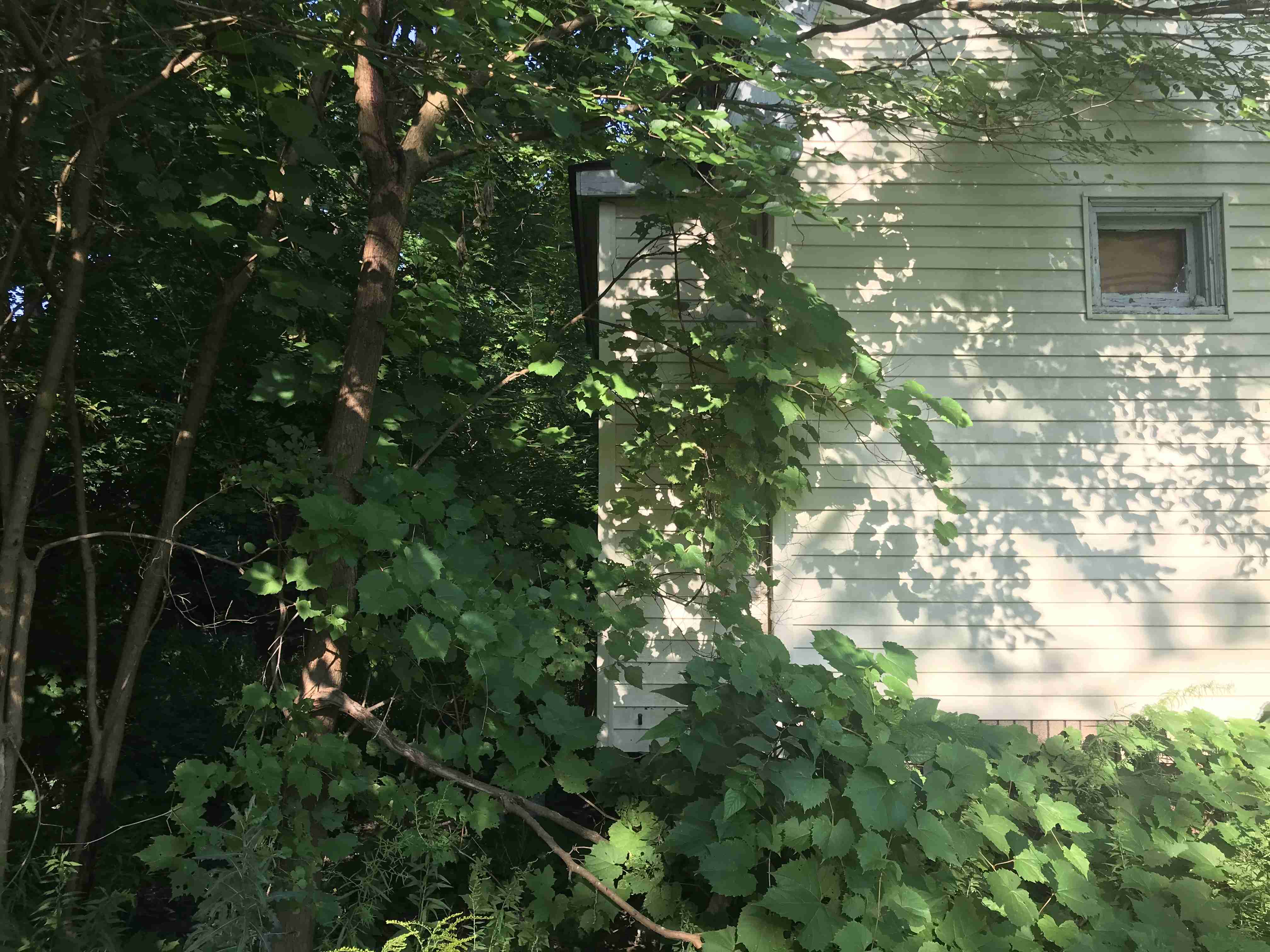 Photo Aug 24, 9 16 41 AM (1).jpg